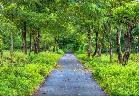 Bhutan Ghat