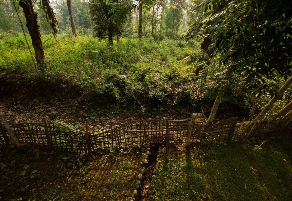 Gorumara