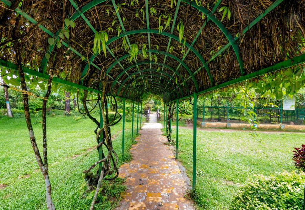 Malbazar park
